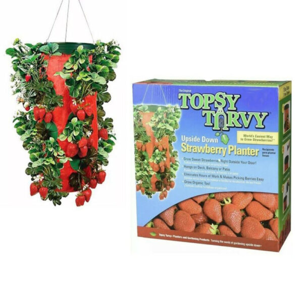 Hanging Topsy Turvy Vertical Strawberry Plant